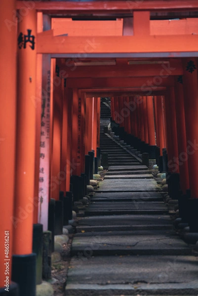 Fototapeta 伏見稲荷の千本鳥居
