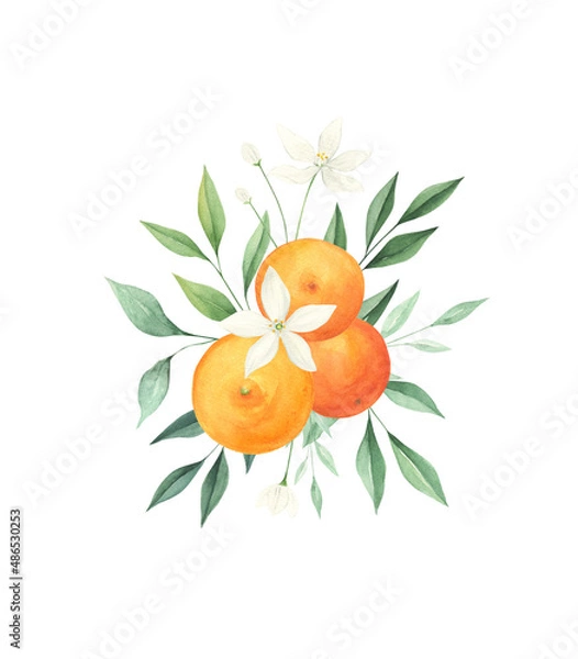 Fototapeta Orange citrus watercolor bouquet isolated on white background. Summer citrus watercolor print. 