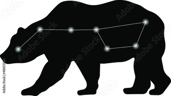 Fototapeta Ursa major constellation on the background vector isolated illustration bear