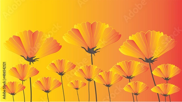Obraz flowers on an orange background.orange flowers  background