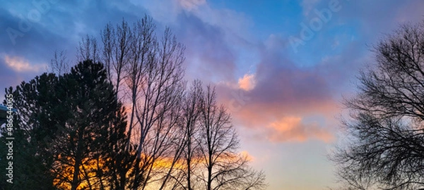 Obraz sunset in the field