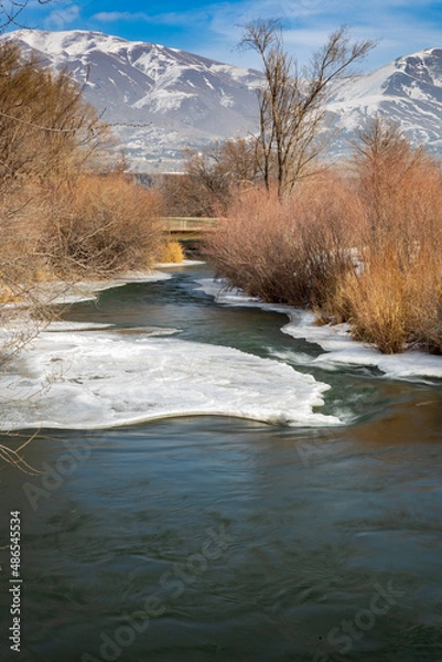 Obraz river in winter