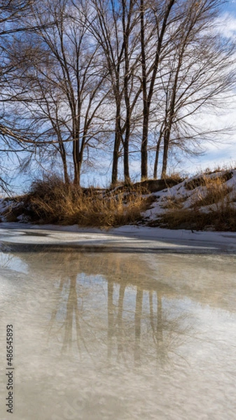 Obraz river in winter
