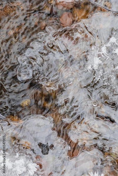 Obraz stream in the forest