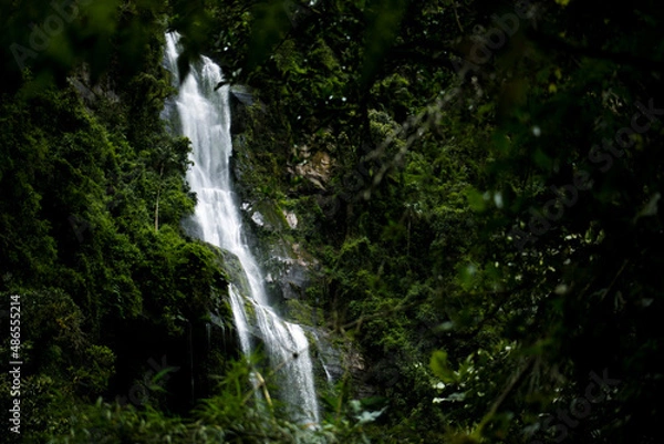Fototapeta La chorrera