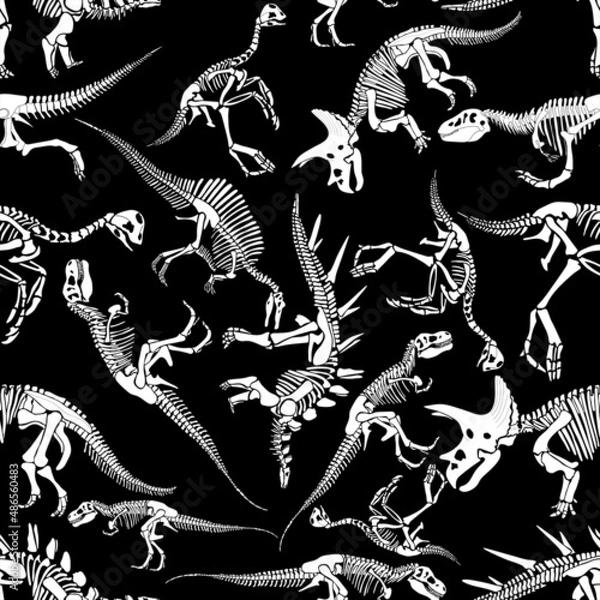 Fototapeta Seamless pattern of dinosaur skeletons in isolate on a black background. Vector illustration.