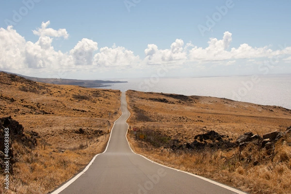 Fototapeta Long desert road with the end on the beach in Kaupo, Maui, Hawai.