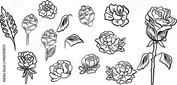 Fototapeta minimalist flowers for logo or decorations