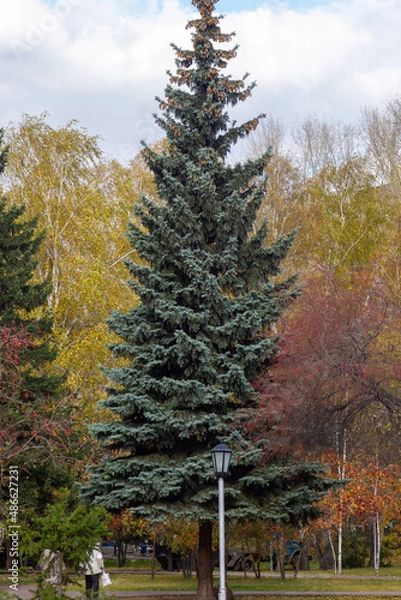 Obraz autumn in the mountains