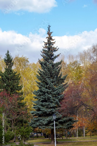 Obraz autumn in the mountains