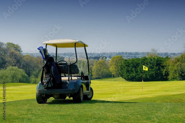 Obraz golf cart