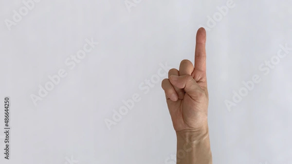 Obraz １のハンドサイン