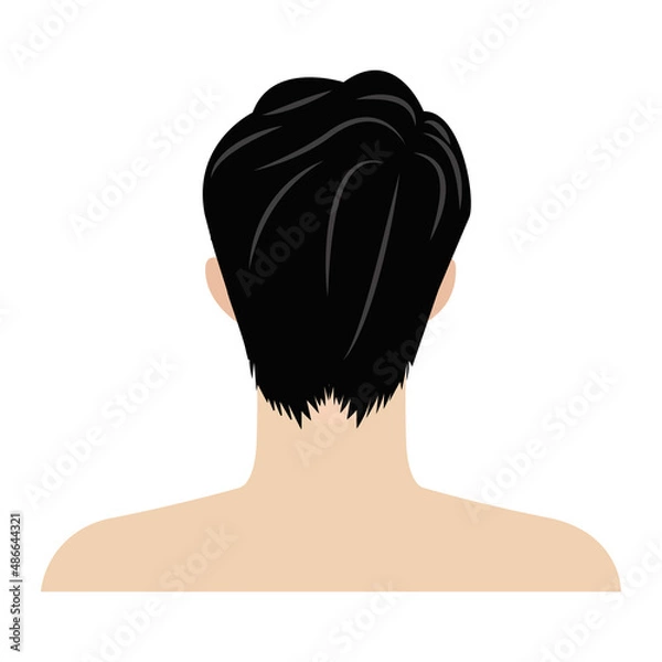 Obraz エステやマッサージなど美容向けのアジア人男性の後頭部の線なし白バックのベクターイラスト
