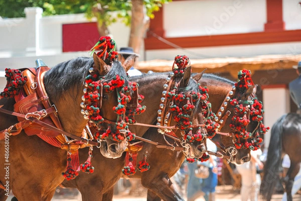 Fototapeta Traditional artisans ornaments on the head of carriage horses at the fair in Jerez de la Frontera Cadiz