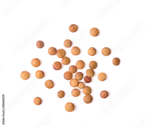 Obraz Brown Lentils on white background