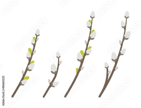 Fototapeta A set of willow branches happy Easter with patterns. Vector illustration in a flat style isolated on a white background