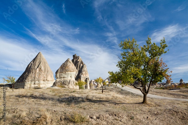 Obraz Cappadocia in Turkey