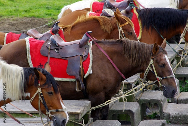 Obraz 天草～阿蘇山