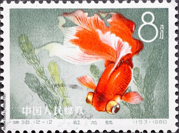 Fototapeta China - circa 1960: a postage stamp from China , showing a colorful fish: Goldfish (Carassius auratus auratus)