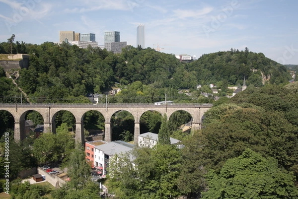 Obraz Bridge Forest Arch View