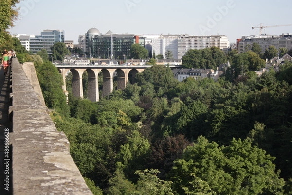 Obraz Bridge Forest View nature Architecture