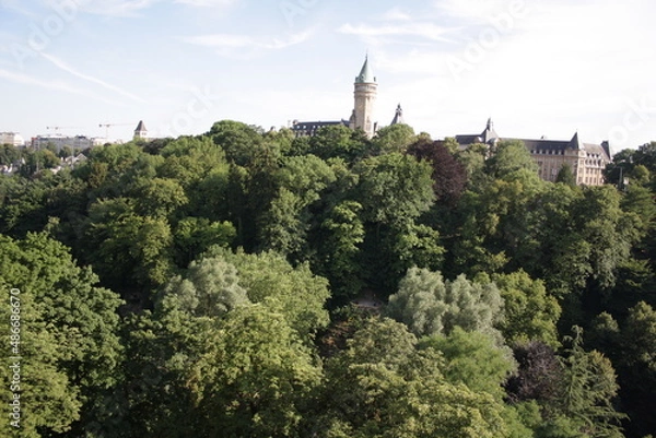Obraz trees in the city