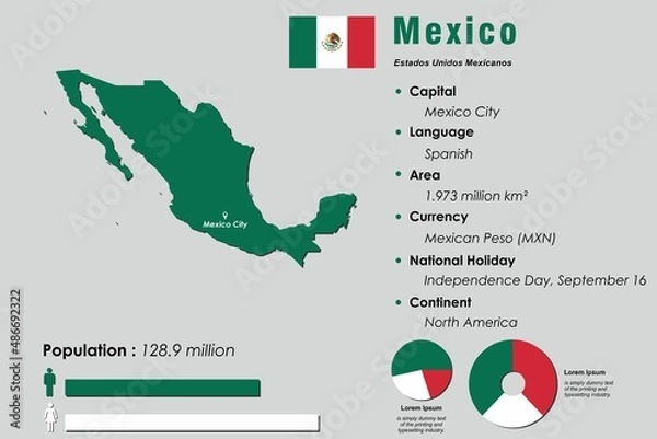 Fototapeta Mexico infographic vector illustration complemented with accurate statistical data. Mexico country information map board and Mexico flat flag