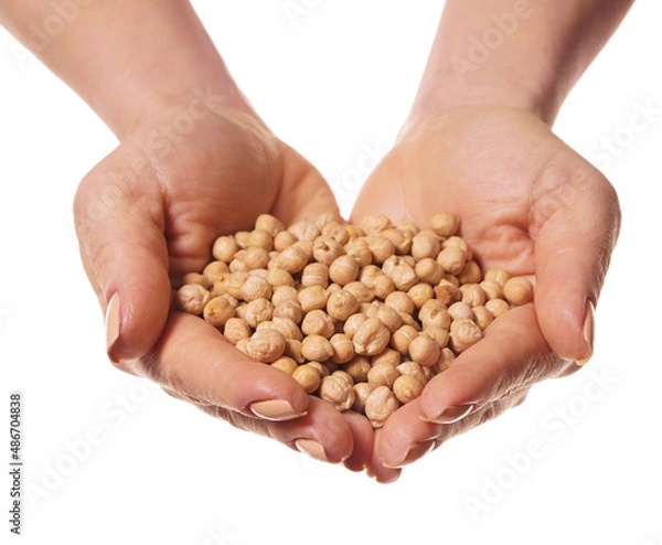 Fototapeta raw chickpeas in hands