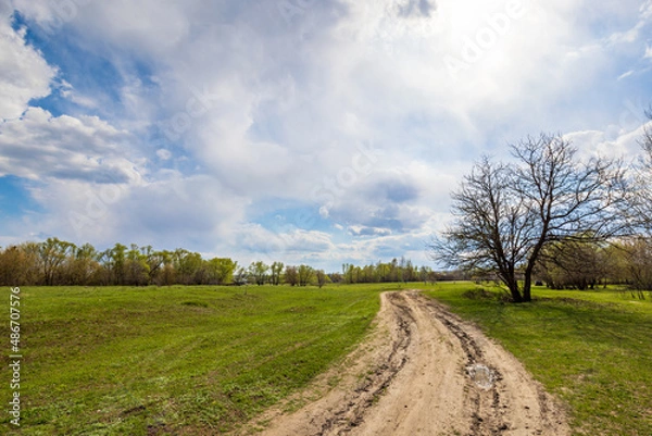 Fototapeta Landscape Nature Rural Spring Road Meadow Forest Lawn Green Grass Trees Field Sky Clouds Summer Village Wallpaper