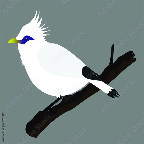 Fototapeta bird on a branch vector