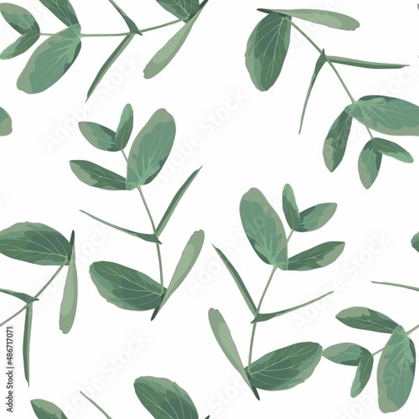 Fototapeta Seamless pattern with Eucalyptus Silver Dollar on a white background. Illustration of greenery, foliage and natural leaves. Template for floral textile design.