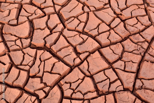 Obraz dry cracked earth