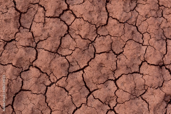 Obraz dry soil texture