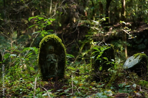 Obraz 妻籠-馬籠間の苔生える仏像