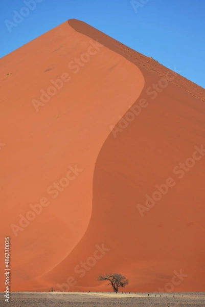 Obraz Sahara, dune, desert