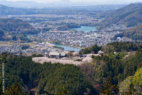 Obraz 【岐阜県八百津町】めいそうの森から見る八百津町の街並みと満開の桜