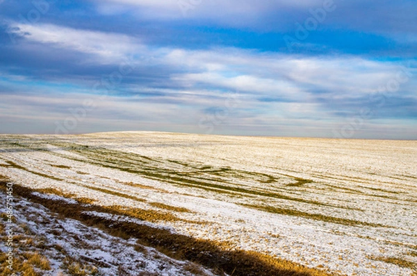Fototapeta Empty winter landscape with meadows and fields on a snowy day