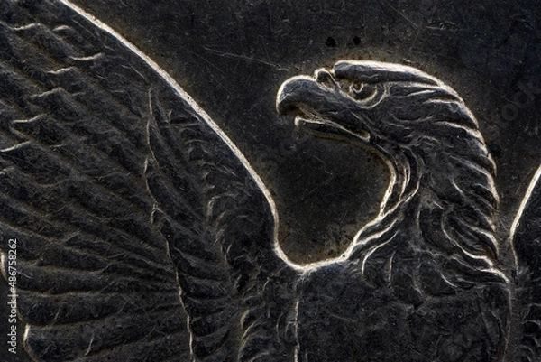 Fototapeta Morgan Liberty Dollar Reverse Bold Eagle Super Macro