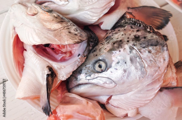 Fototapeta fresh fish on ice