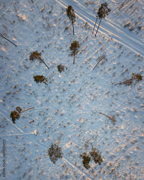 Fototapeta View of the winter forest from above. Moscow region