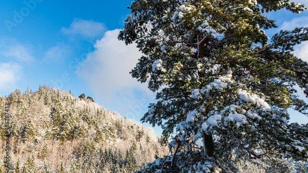 Fototapeta Sokolik peak in winter scenery