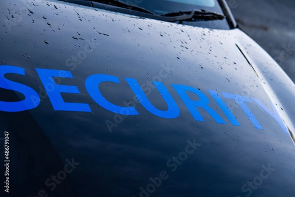 Obraz security car