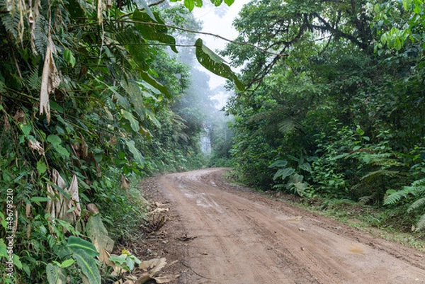 Fototapeta Rain wet muddy road in the rainforest of Costa Rica