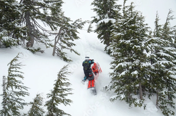 Obraz Snow machine rider in Alaska