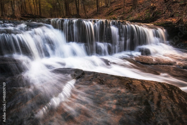Obraz waterfall in the forest
