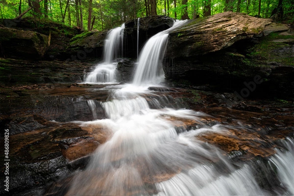 Obraz waterfall in the forest