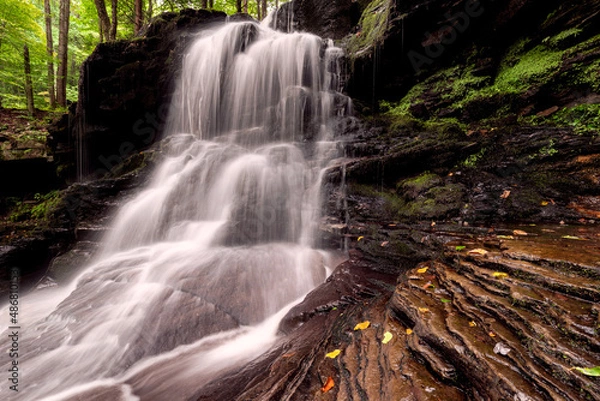 Obraz waterfall in the woods