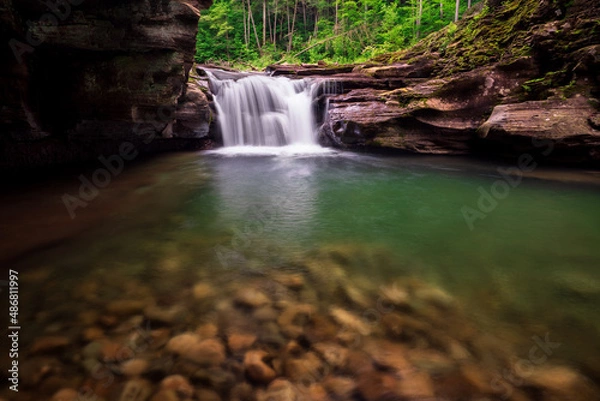 Obraz waterfall in the woods