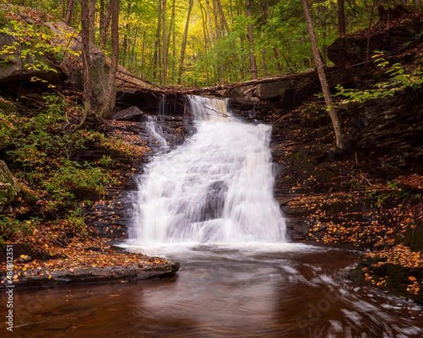 Obraz waterfall in the woods