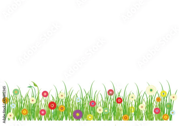 Obraz Green grass flowerbed with blooming flowers illustration isolated white background. Banner for design use in vector and jpg format with place for text.